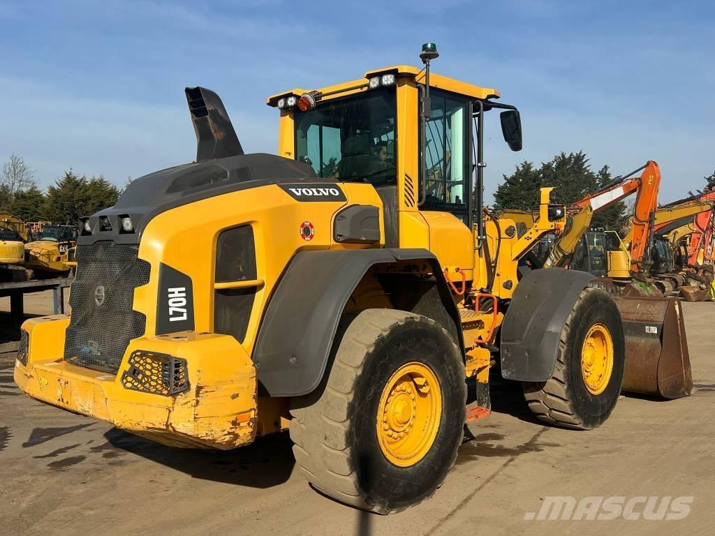 Volvo L 70 H Pale gommate