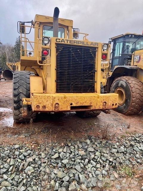 CAT 980 C Pale gommate