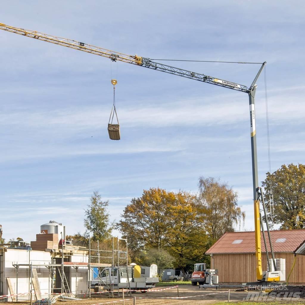 Liebherr L1-24 Gru automontanti