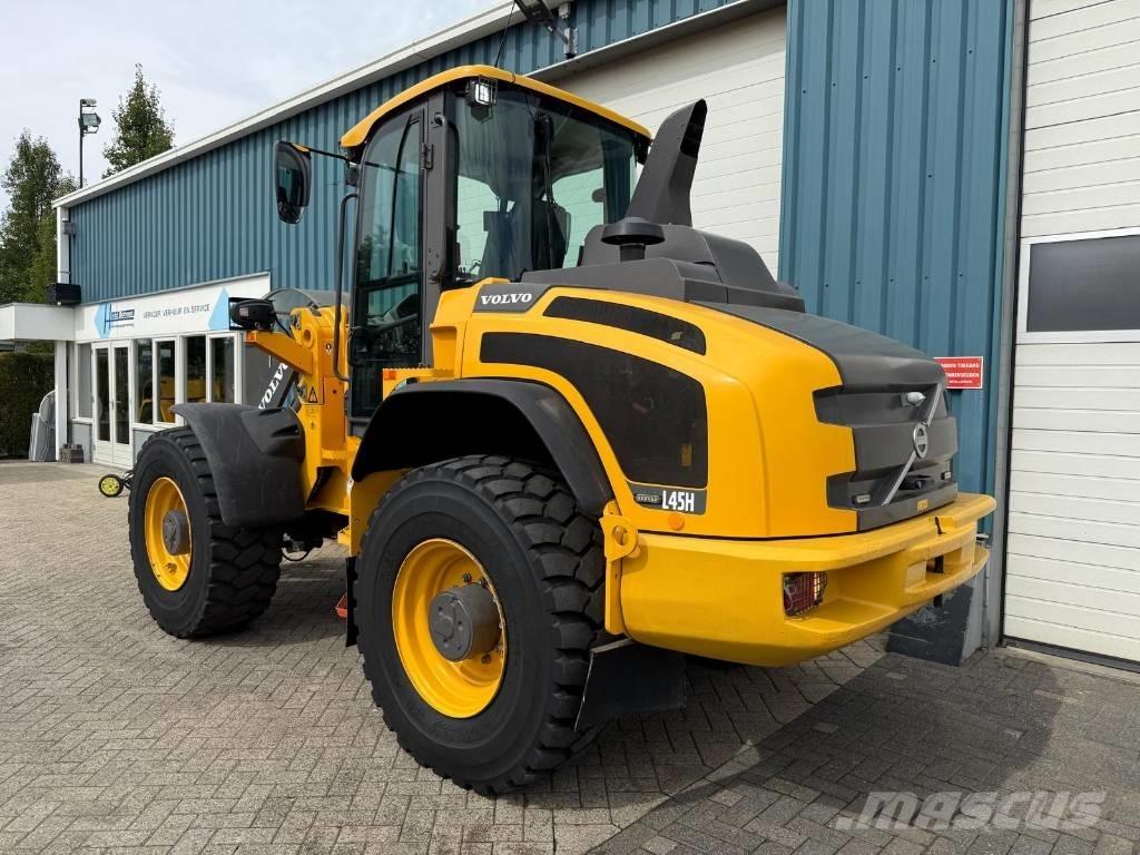 Volvo L 45 H Pale gommate