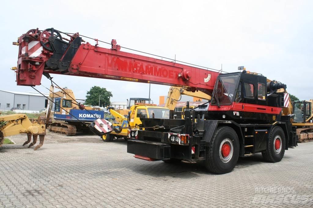 Tadano TR300EX NVT Gru per tutti i terreni
