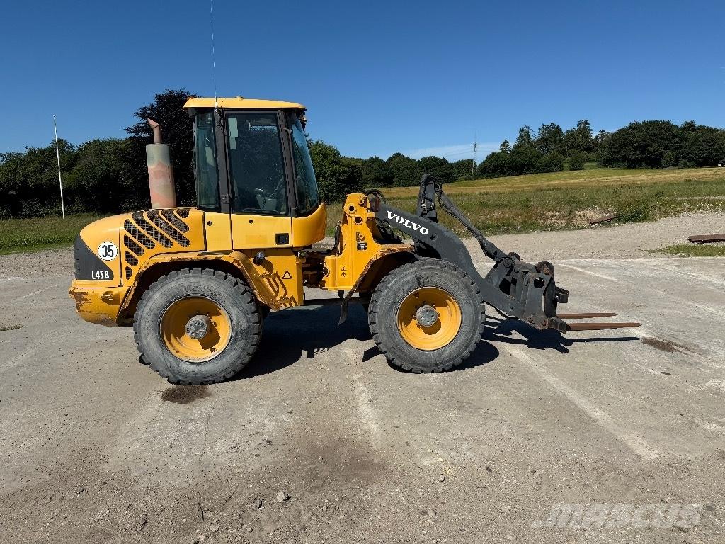 Volvo L 45 B Pale gommate