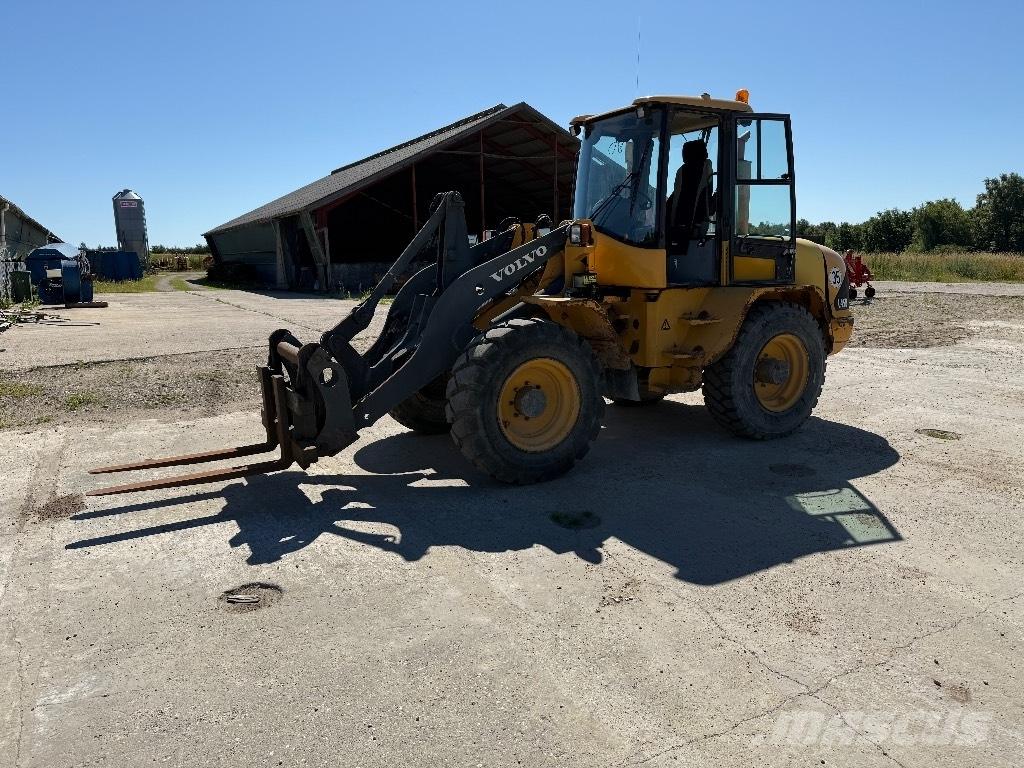 Volvo L 45 B Pale gommate