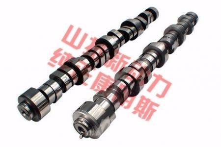 cummins 4298626 Motori