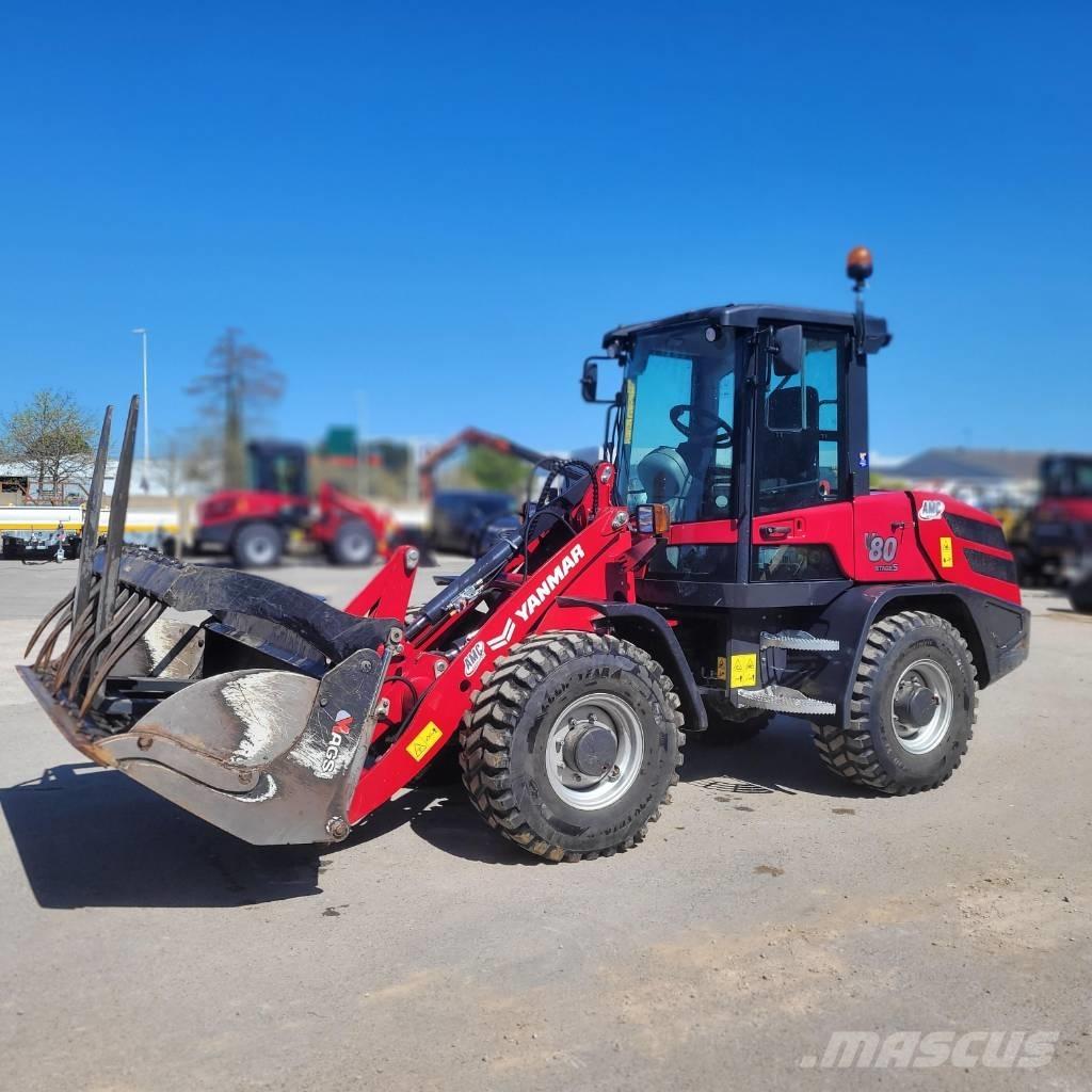 Yanmar V 80 Pale gommate