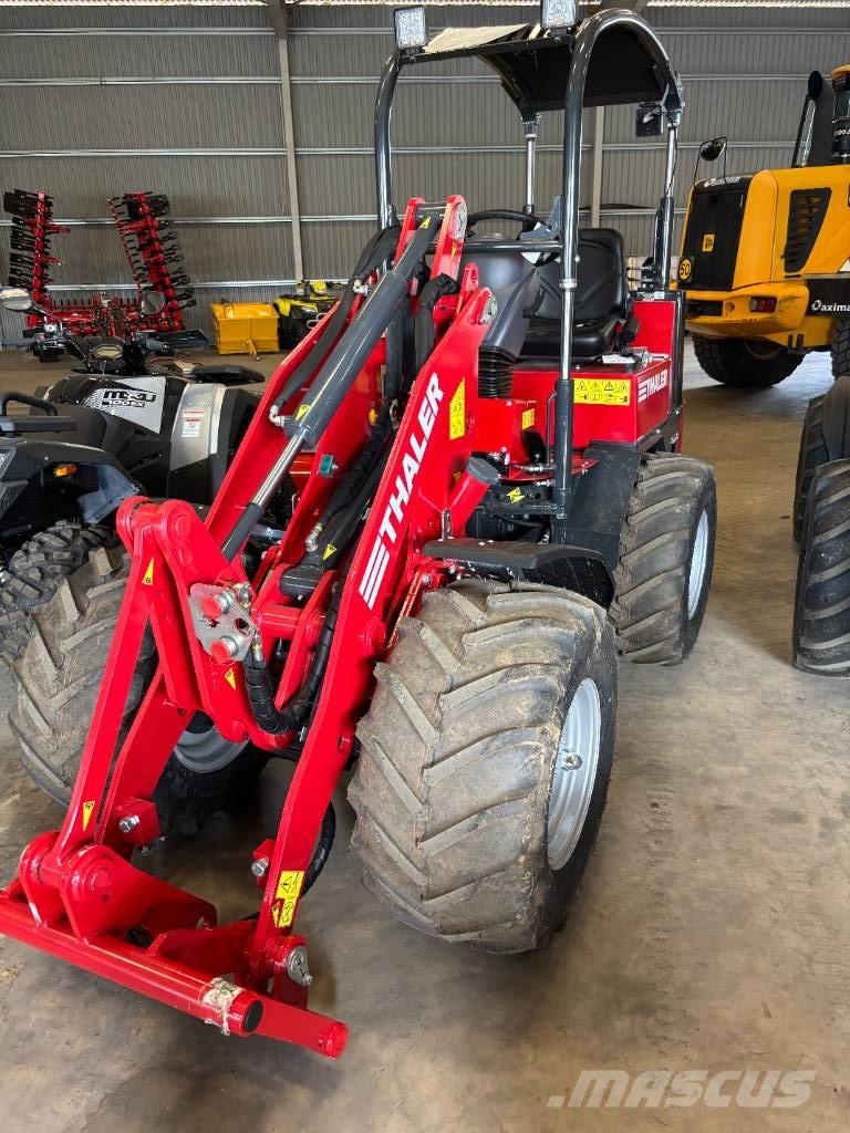 Thaler 2438 Pale multiuso