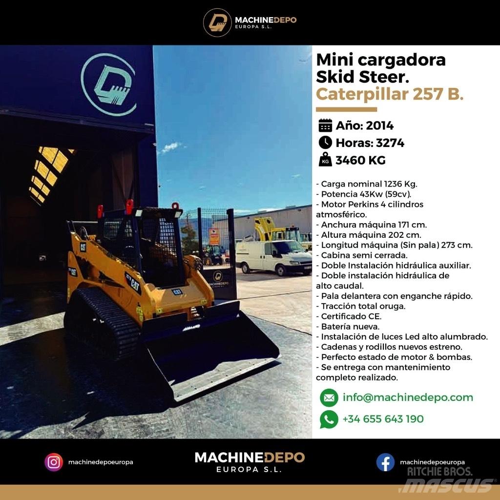 CAT 257 B Pale cingolate