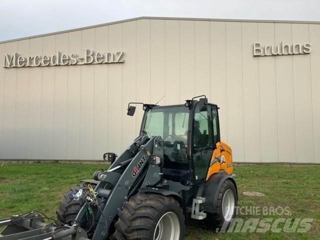 GiANT G5000 Pale gommate