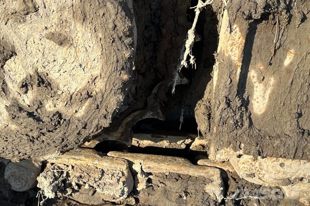 CASE CX 235 C Escavatori cingolati