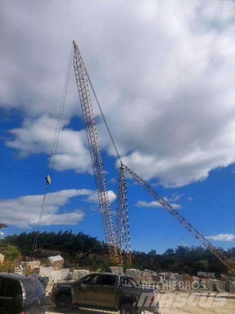  Giacomini Derrick Gru a torre