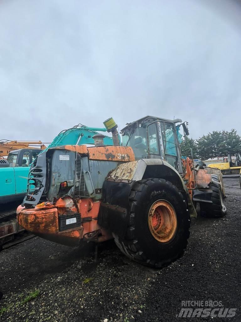 Hitachi ZW 310 Pale gommate