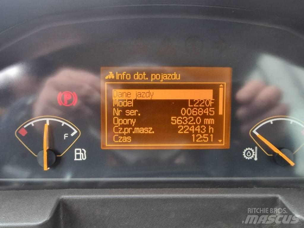 Volvo L 220 F Pale gommate