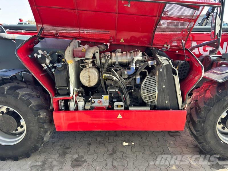 Magni 5,5.19 P Pale gommate telescopiche