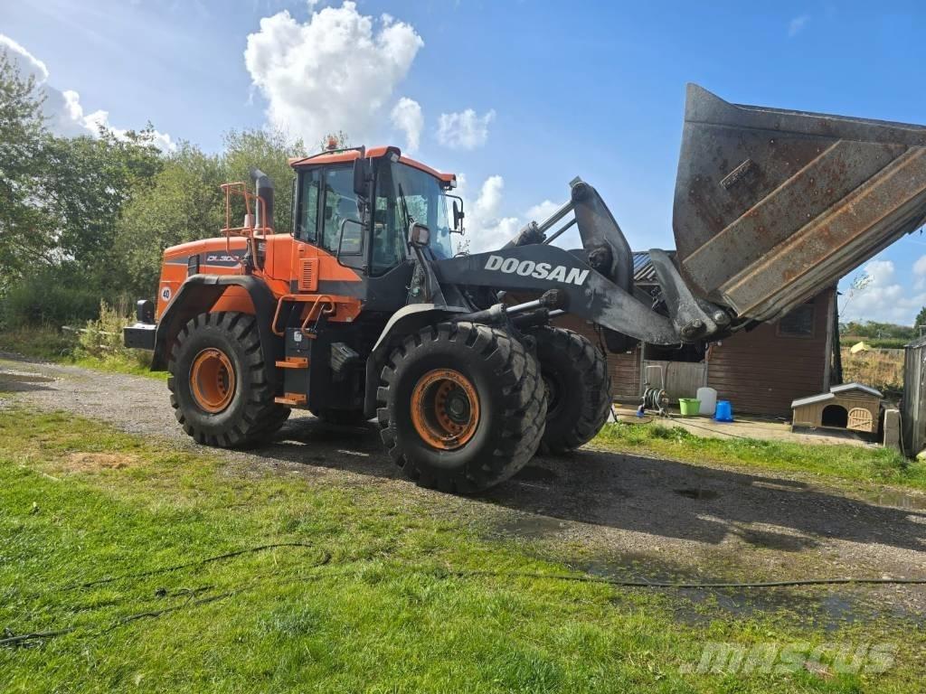 Doosan DL 300-5 Pale gommate