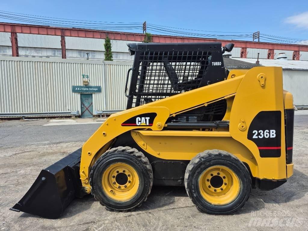 CAT 236 B Mini Pale Gommate