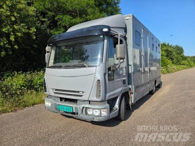 Iveco E 75 Camion per trasporto animali