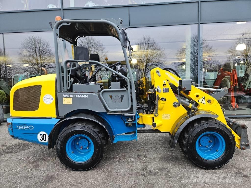 Weidemann 1880 Pale gommate