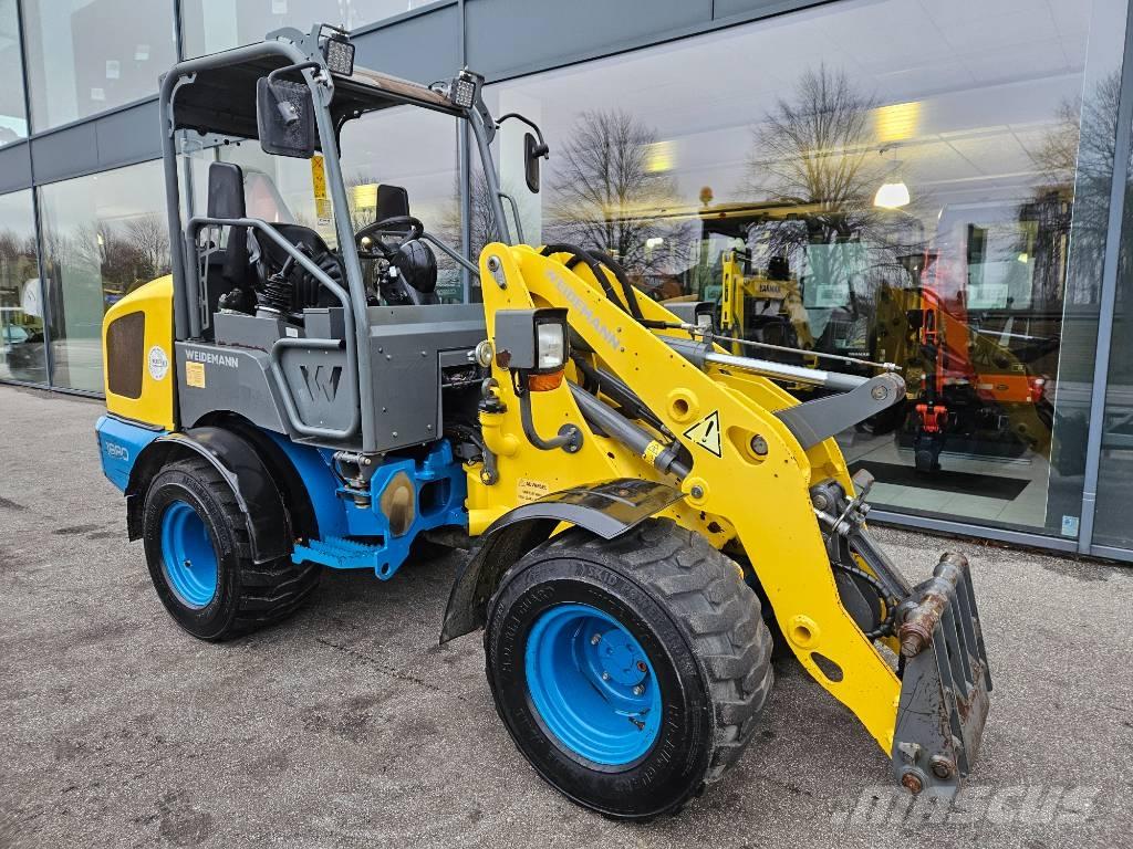 Weidemann 1880 Pale gommate