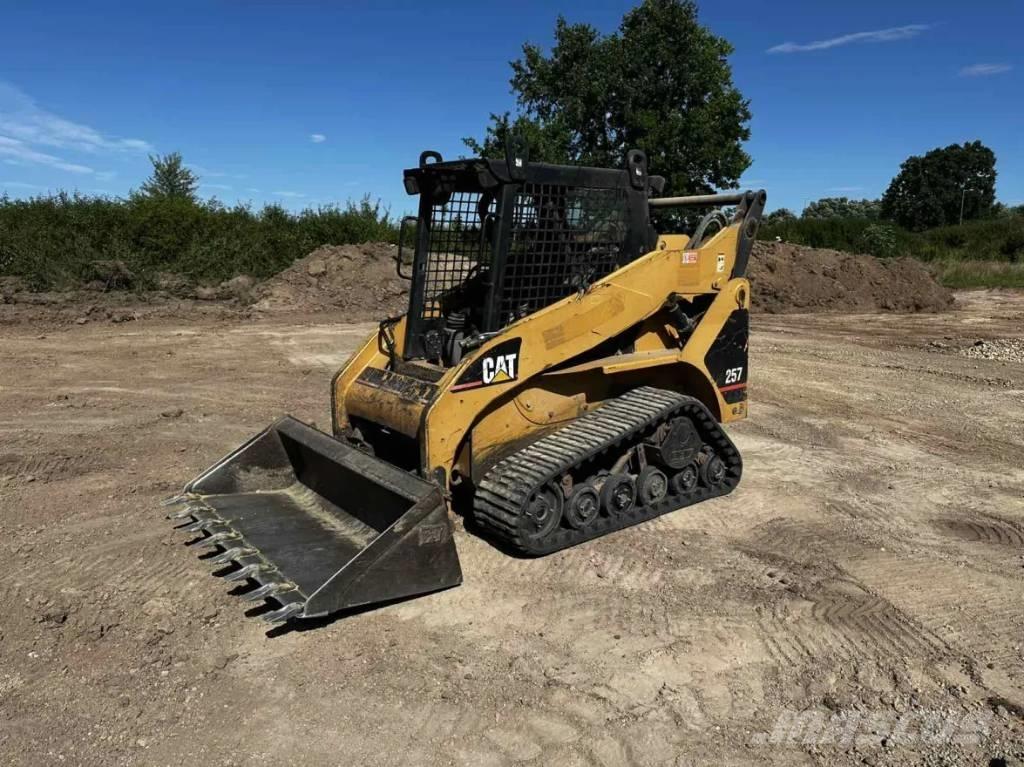 CAT 257 Pale cingolate