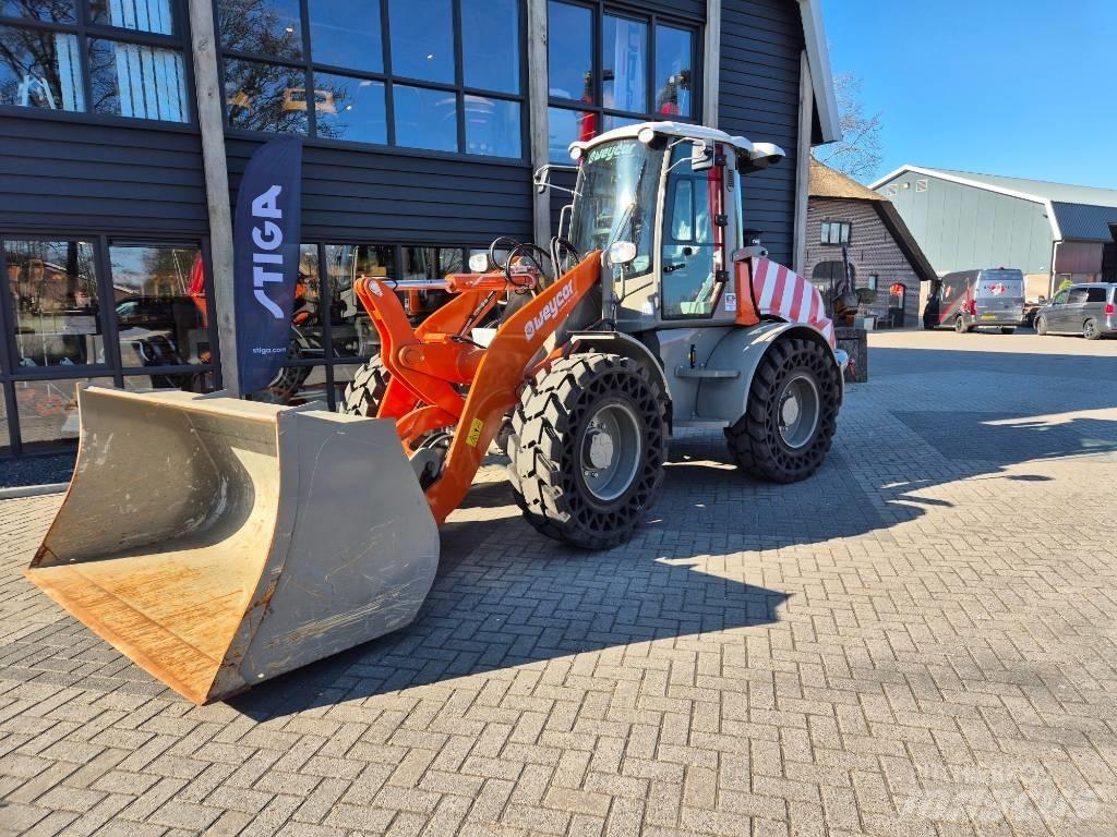 Weycor 560 Pale gommate