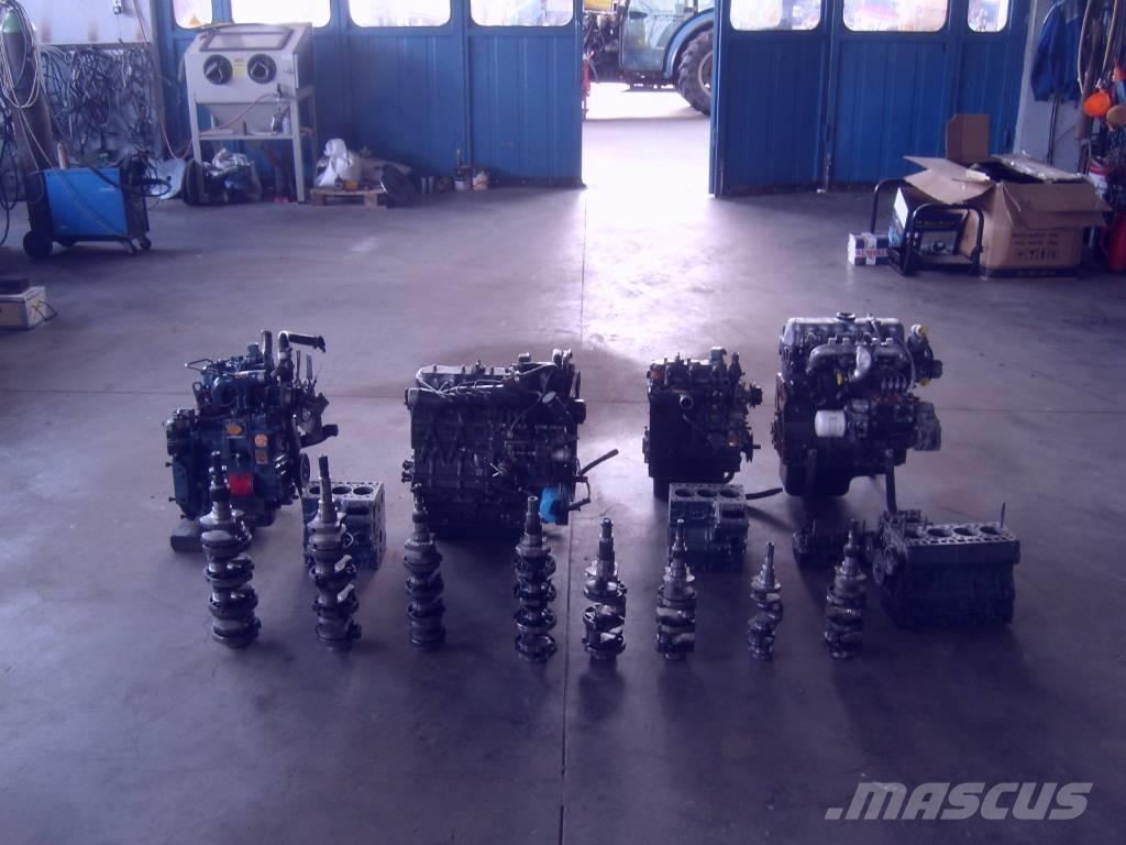  ANTALAKTIKA KUBOTA Trasporto - Altro