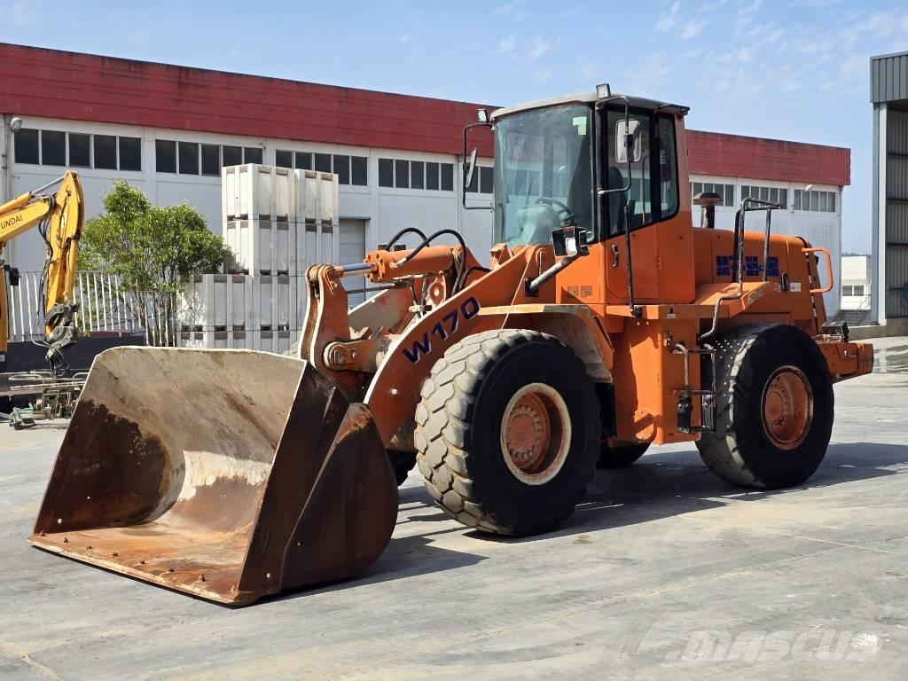 Fiat-Hitachi W170 Pale gommate