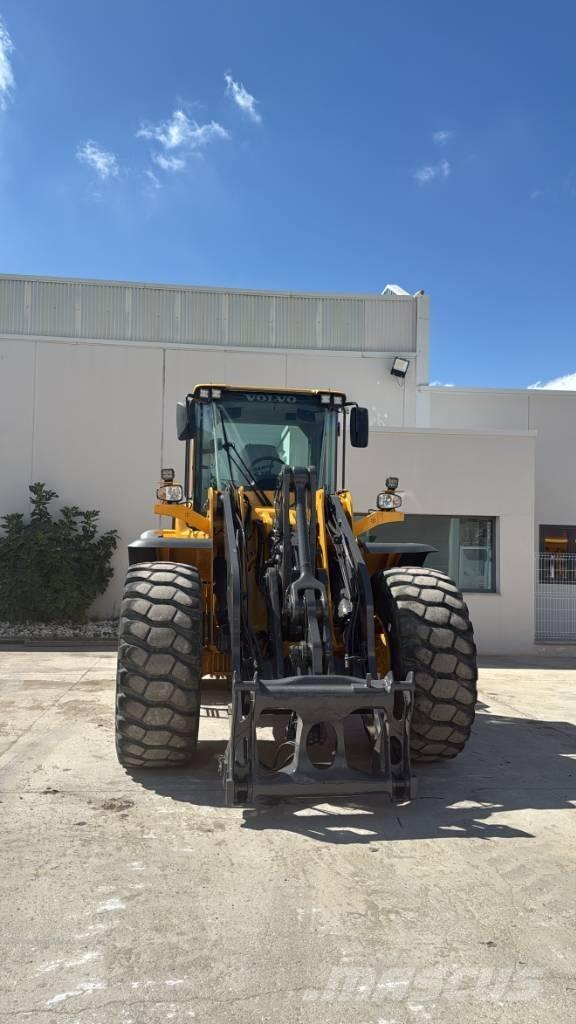 Volvo L 110 F Pale gommate