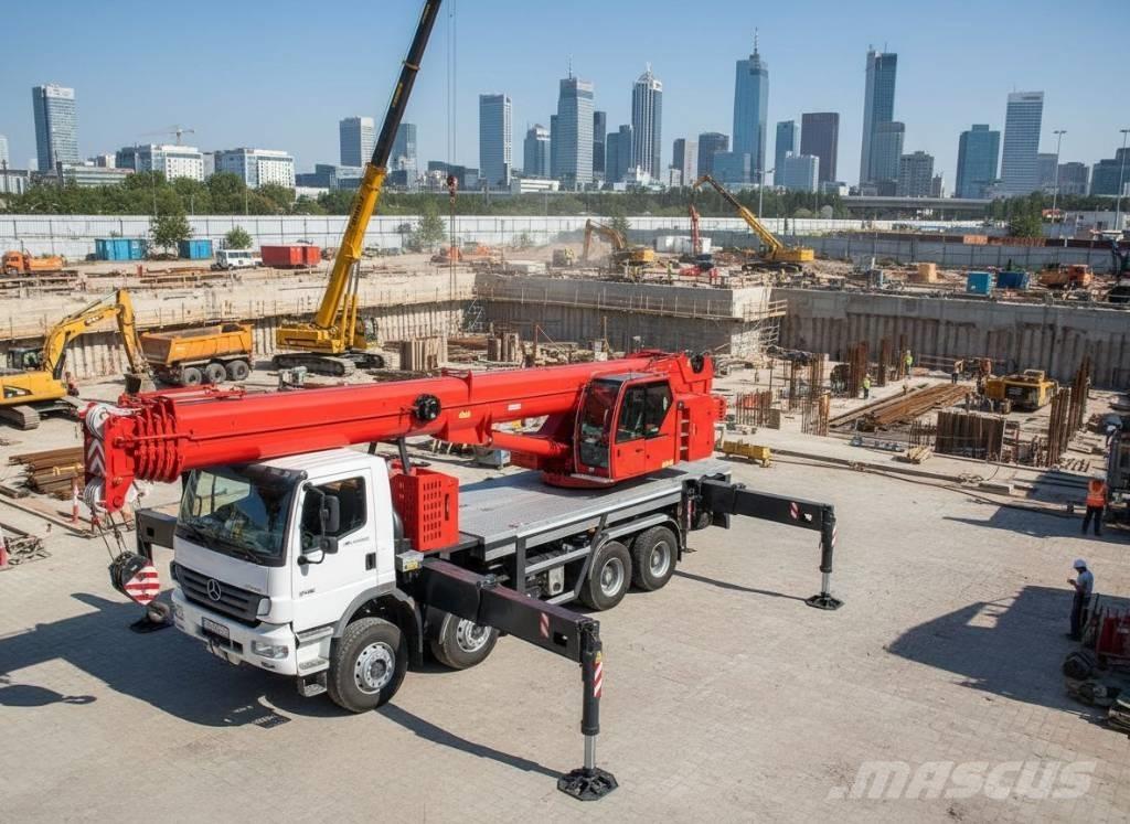 TCM 100 SP Gru cingolate