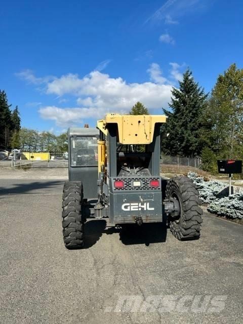 GEHL RS 6-42 Elevatore per esterni