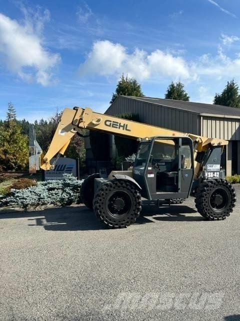 GEHL RS 6-42 Elevatore per esterni