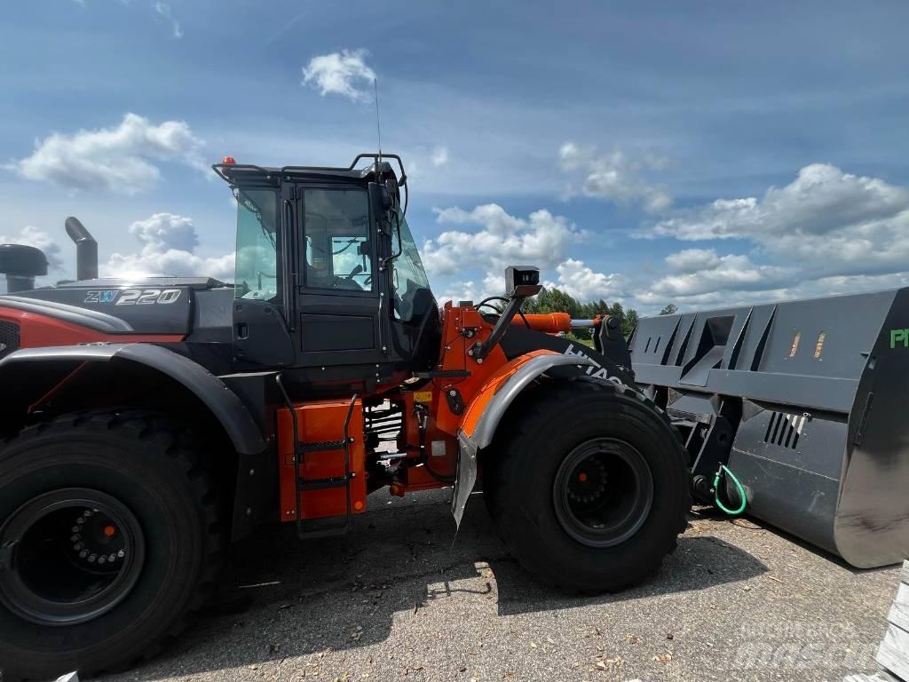 Hitachi ZW 220 Pale gommate