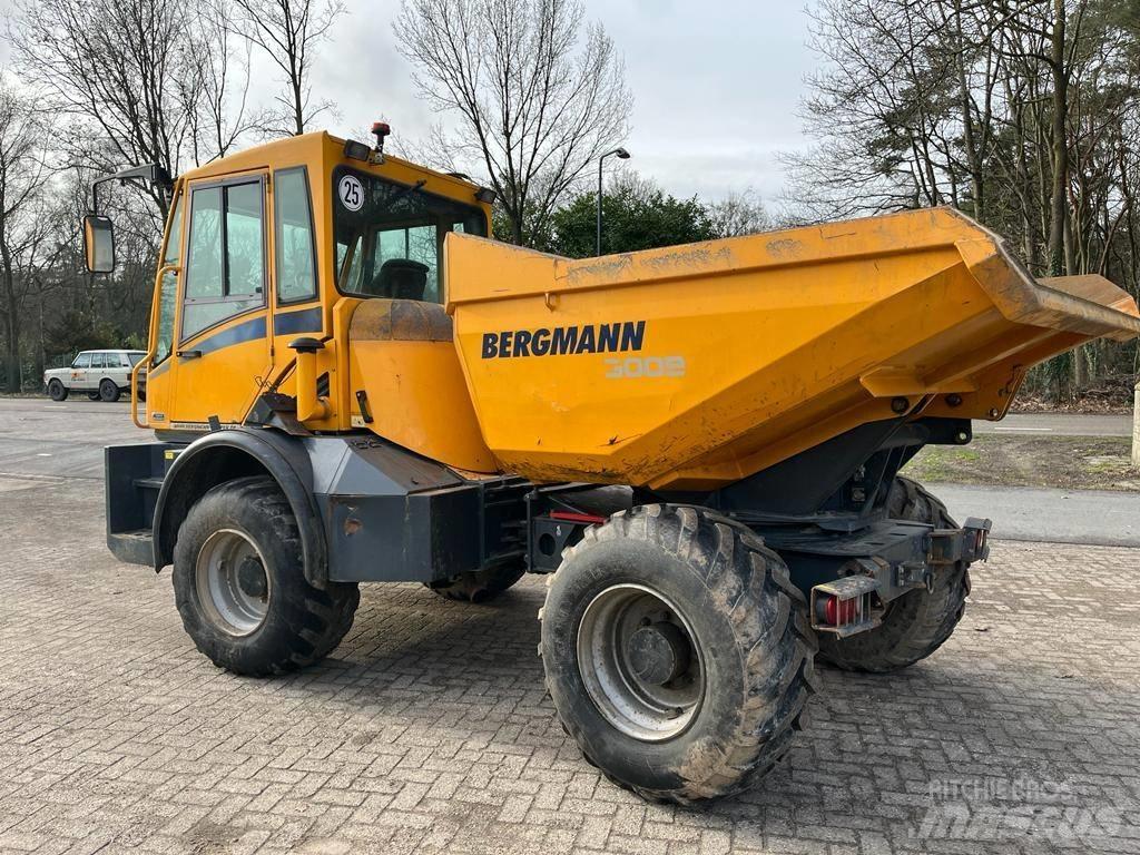 Bergmann 3009 R Dumpers articolati