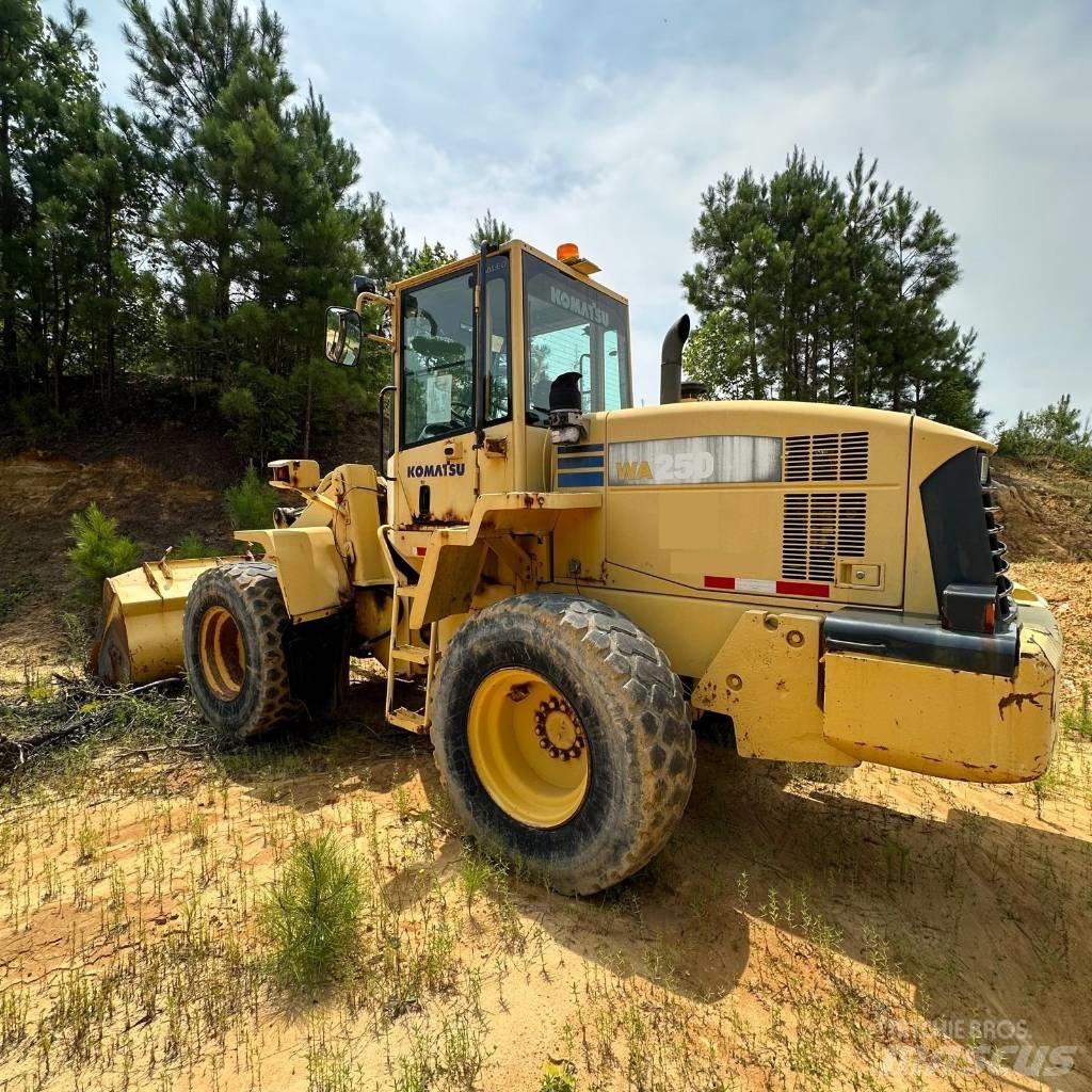 Komatsu WA 250 L-5 Pale gommate