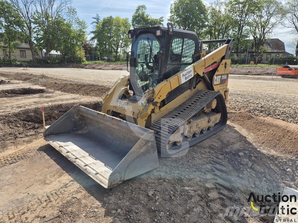 CAT 299 D 2 Pale cingolate