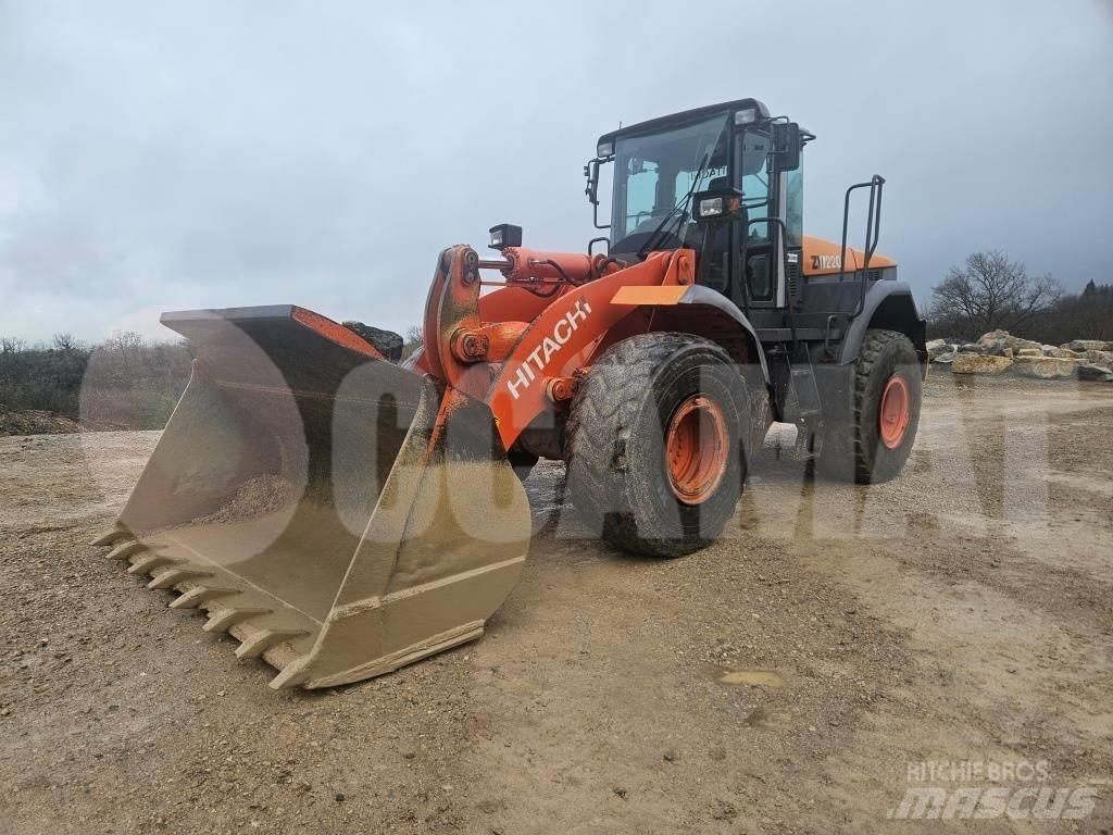 Hitachi ZW 220 Pale gommate