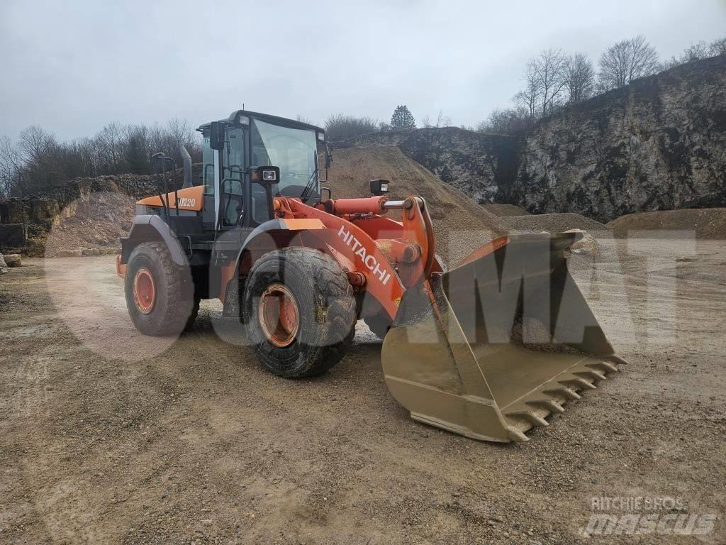 Hitachi ZW 220 Pale gommate