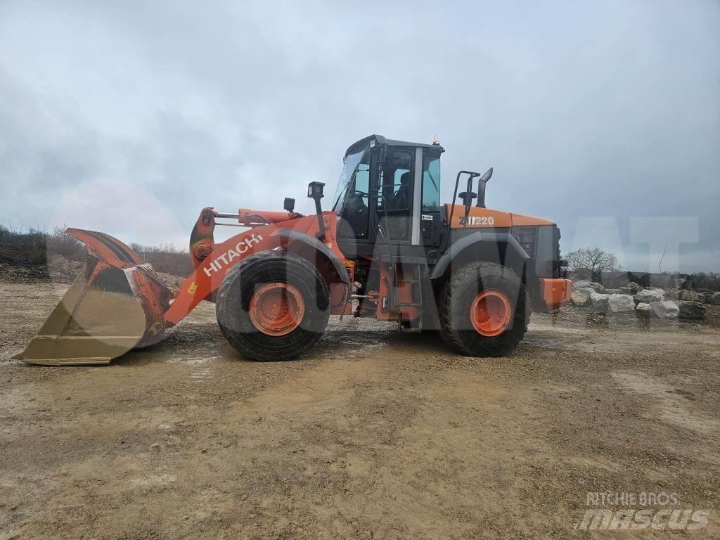 Hitachi ZW 220 Pale gommate