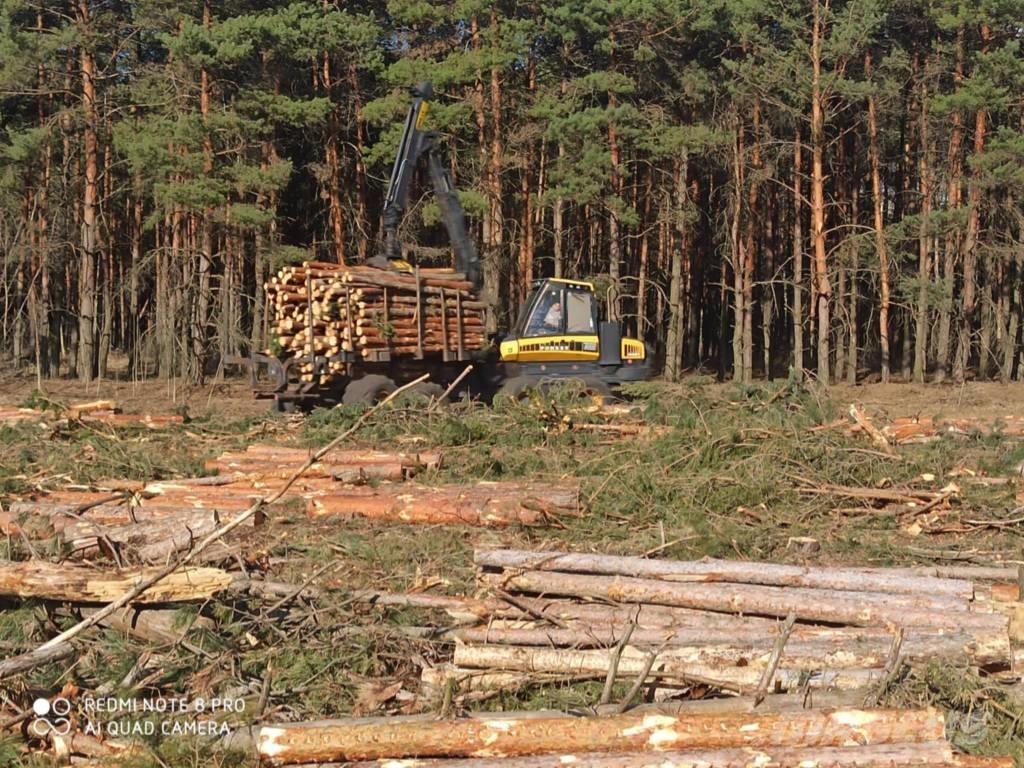 Ponsse Buffalo King Forwarder