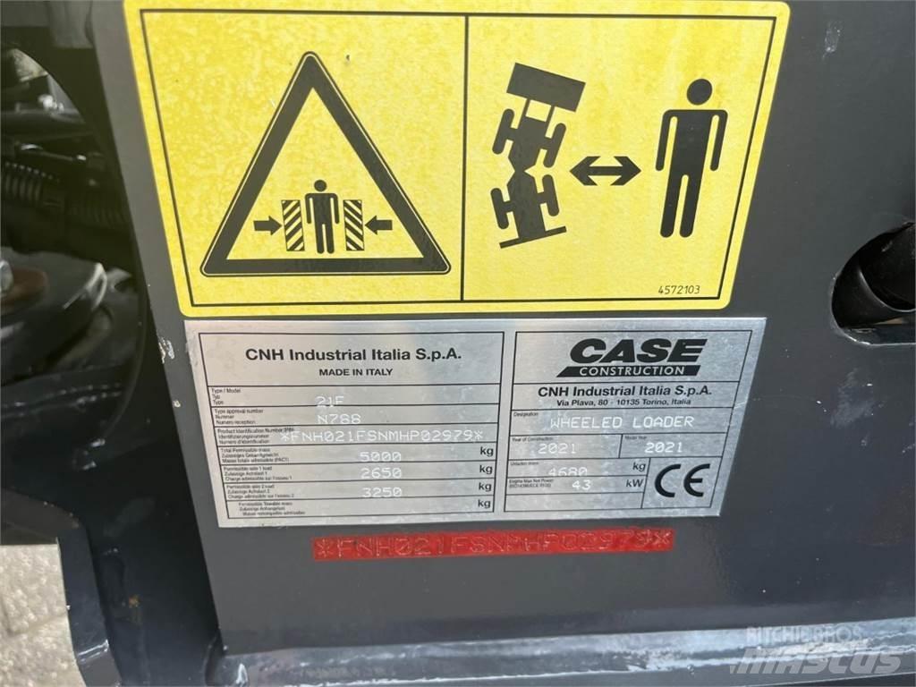 CASE 21F Pale gommate