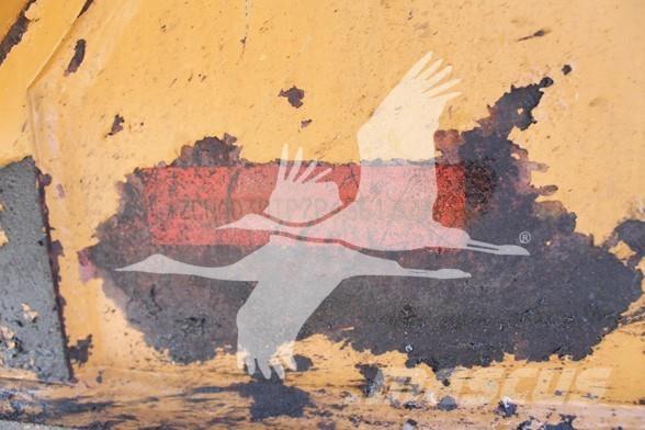 CASE 330B Dumpers articolati