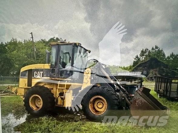 CAT IT28G Pale gommate