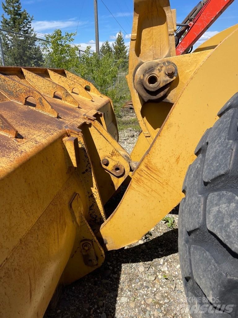CAT 966 E Pale gommate