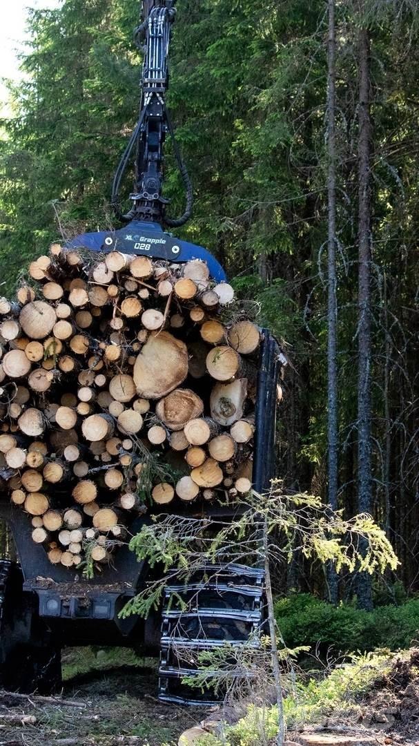  XL Grapple 028 STD Pinze