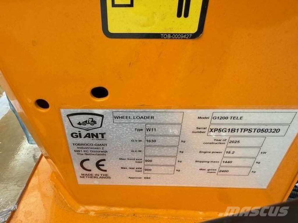 GiANT G1200 Tele Pale gommate