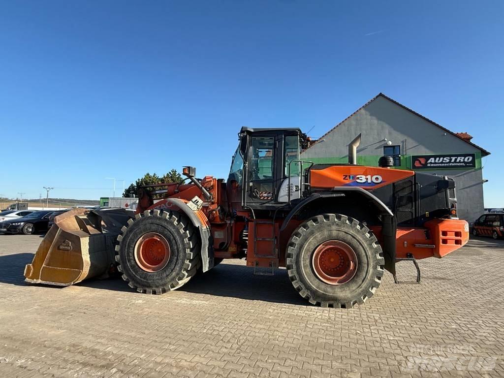 Hitachi ZW 310-6 Pale gommate