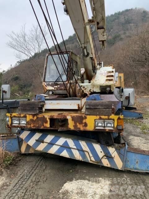 Tadano TR250M-4 Gru per terreni difficili
