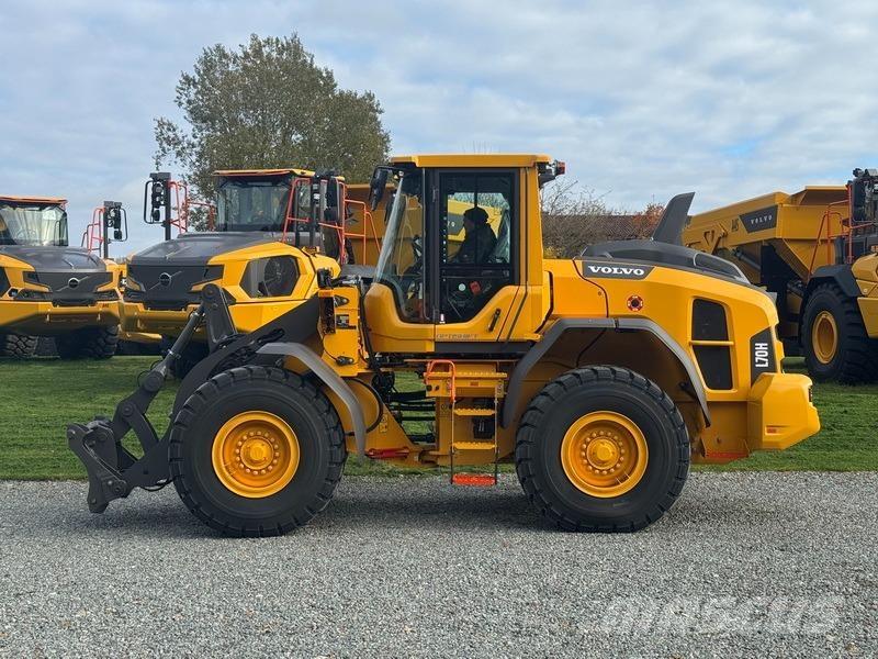 Volvo L 70 H 2 NEW Pale gommate
