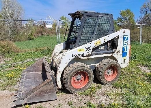 Bobcat 751 Mini Pale Gommate