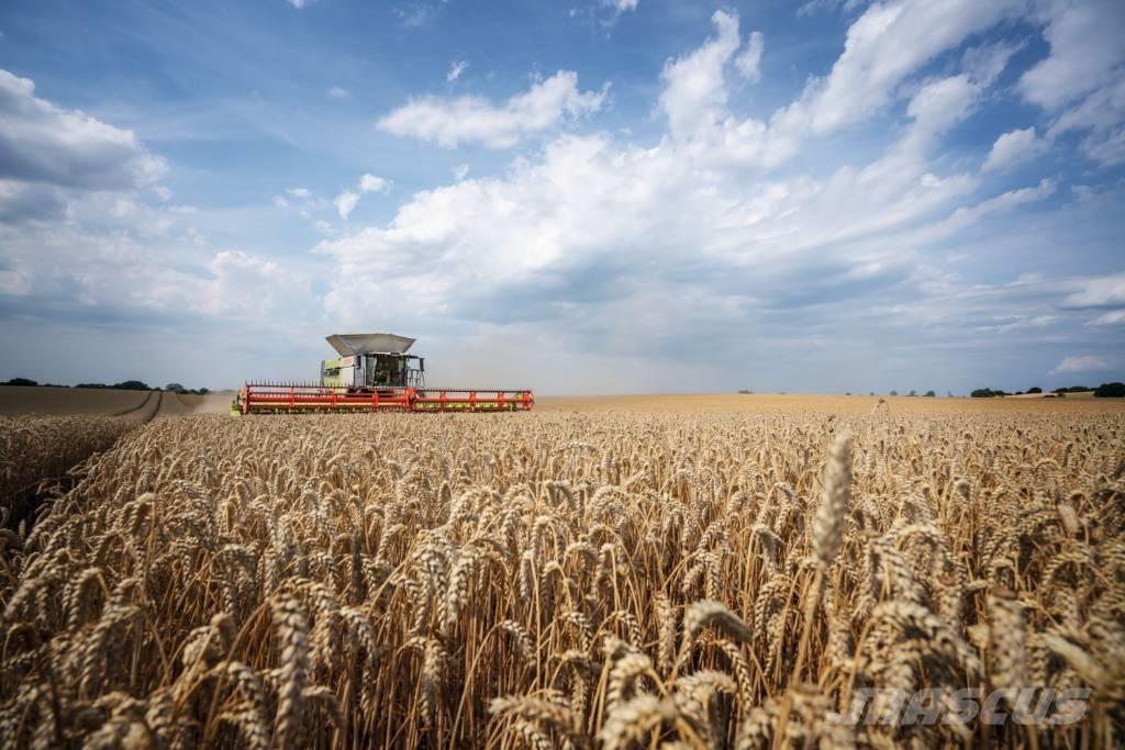 CLAAS Convio 930 Accessori per mietitrebbiatrici