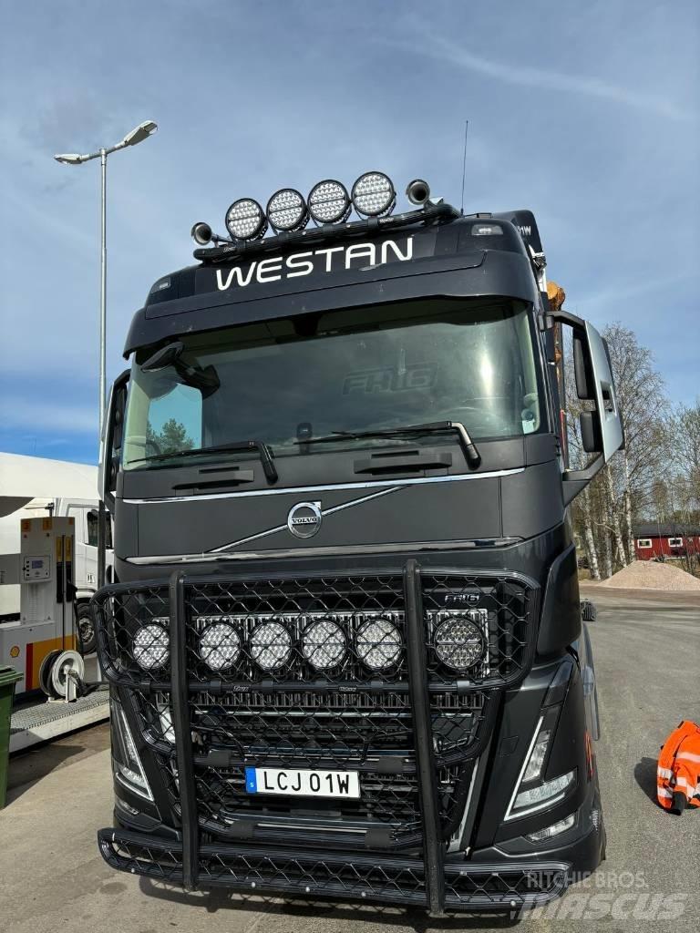 Volvo FH16 650 Camion trasporto legname